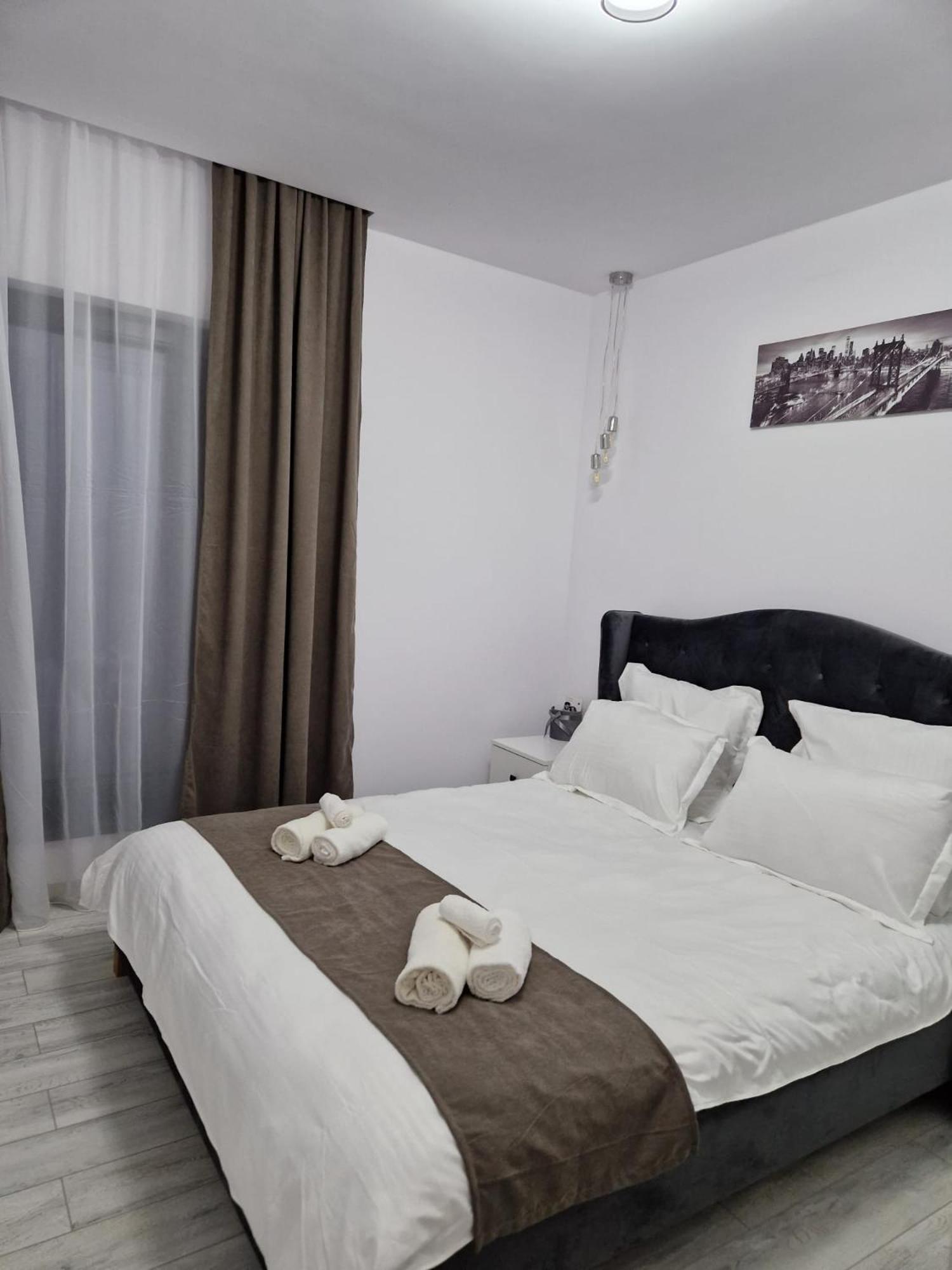 Tag Apartament Timisoara Exterior photo