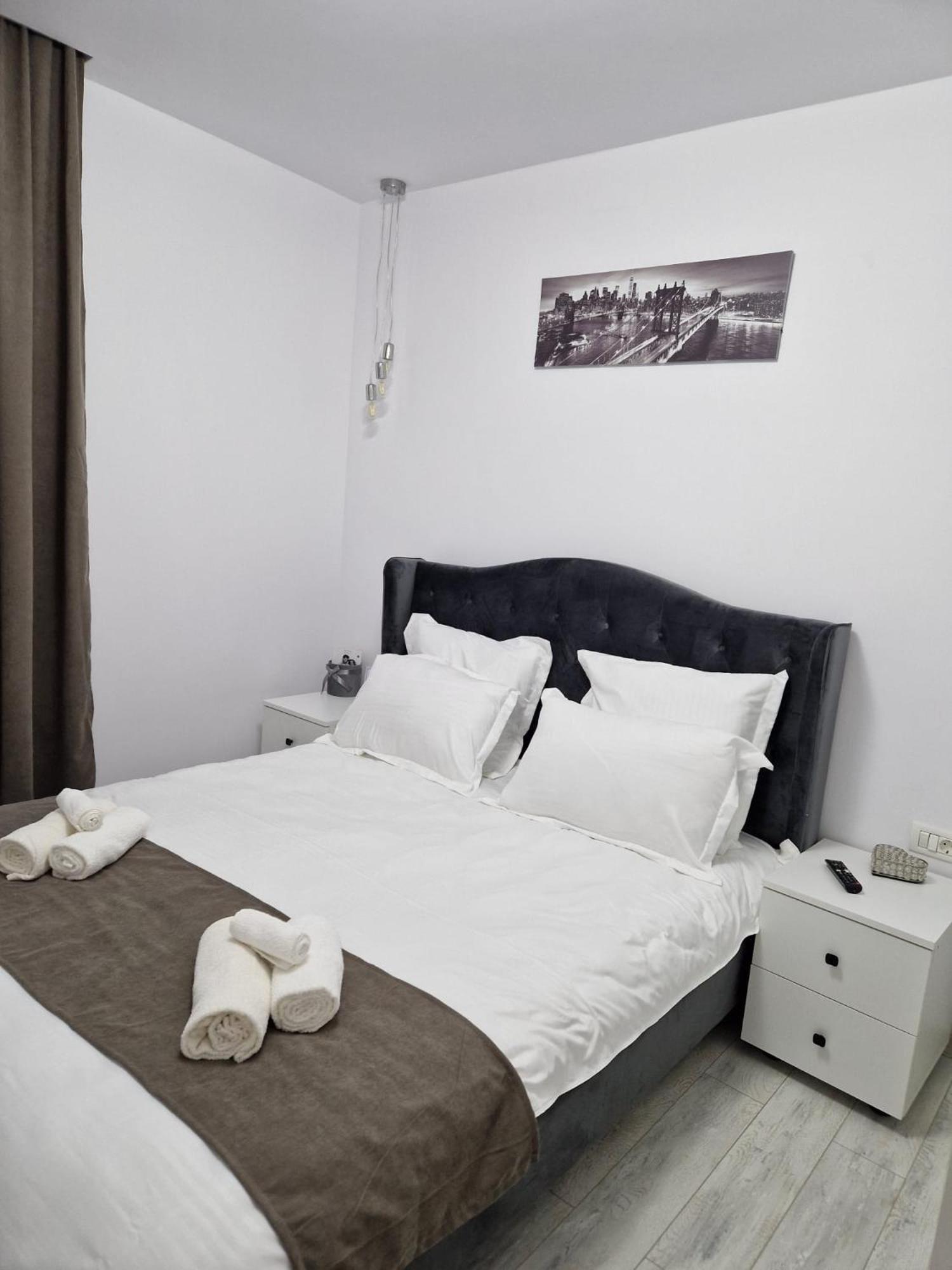 Tag Apartament Timisoara Exterior photo