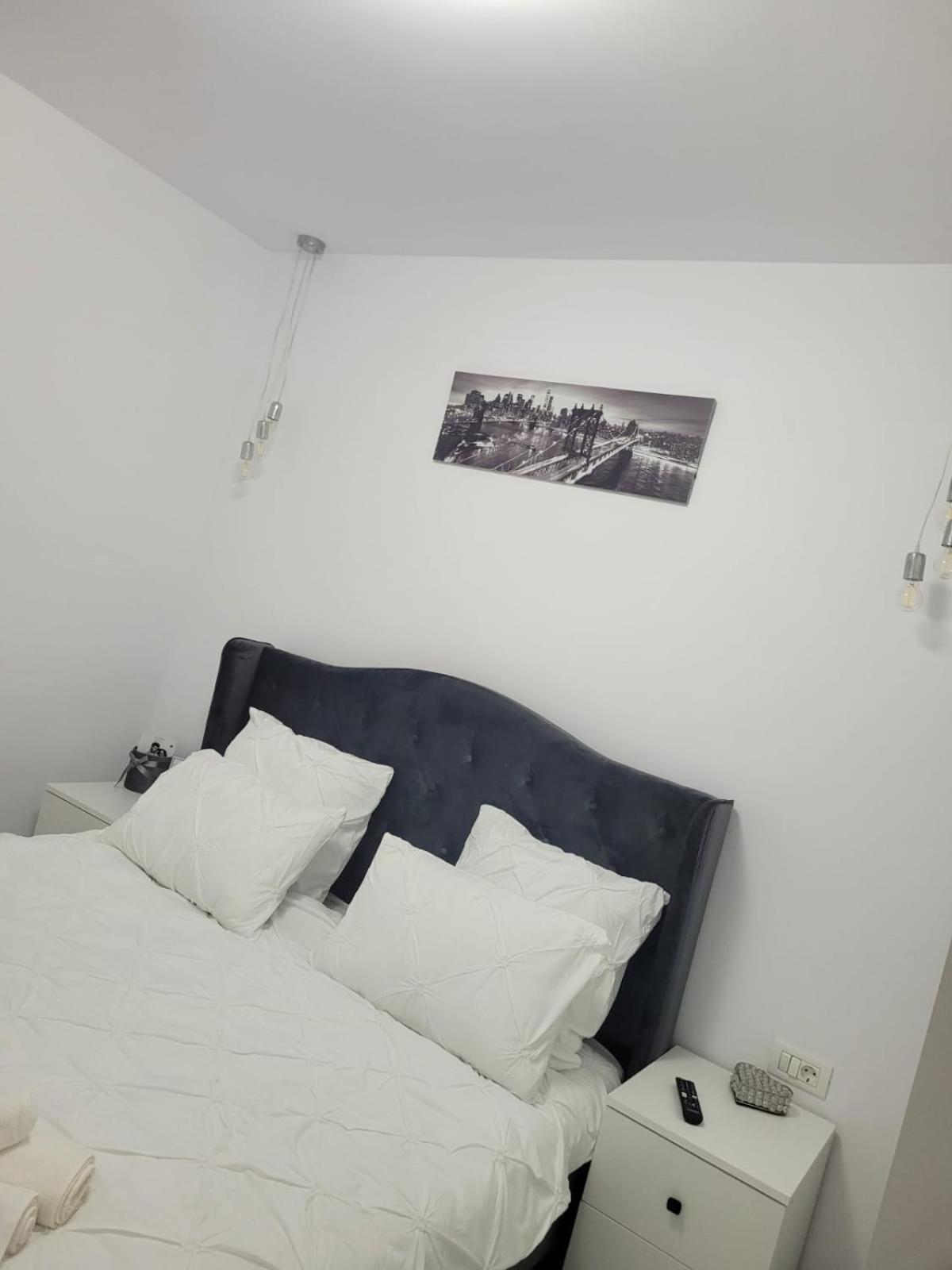 Tag Apartament Timisoara Exterior photo